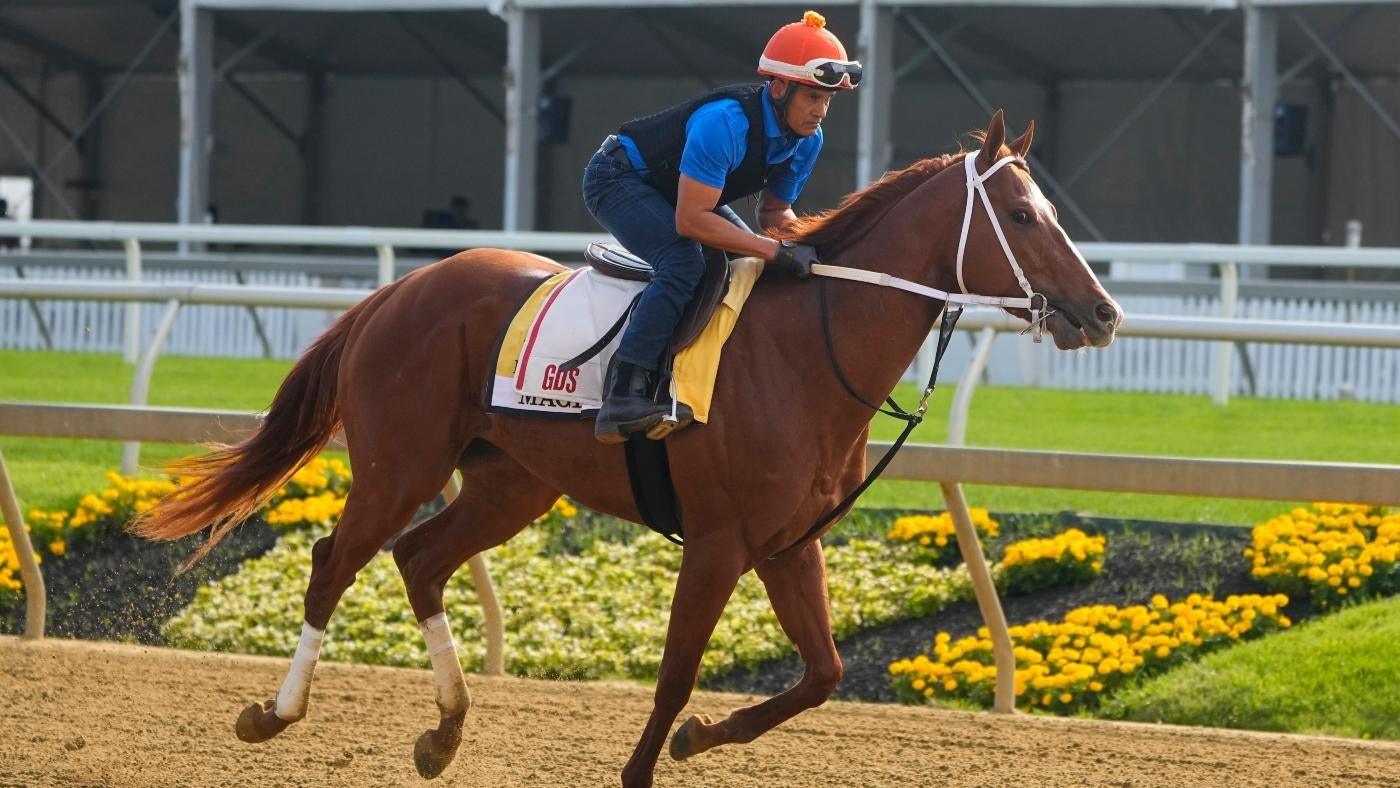 Belmont Stakes 2024 Cheat Sheet for racing form, past performances